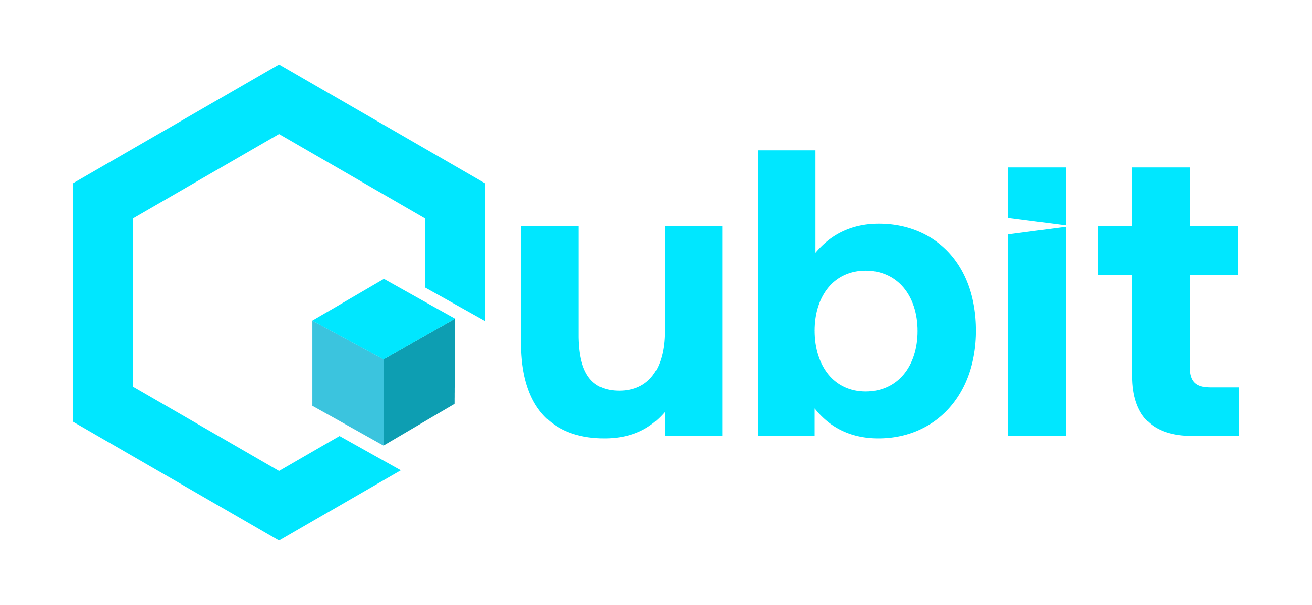 Qubit NYC logo